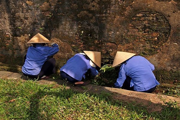 Day_tours_from_hanoi_visit_Duong_ Lam_readyclickandgo